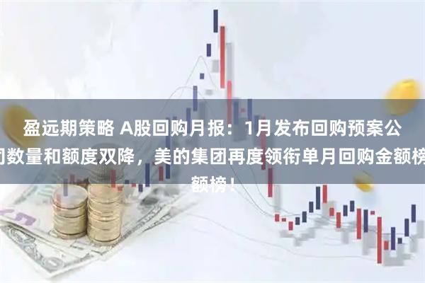 盈远期策略 A股回购月报：1月发布回购预案公司数量和额度双降，美的集团再度领衔单月回购金额榜！