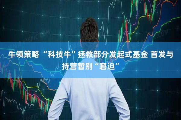 牛领策略 “科技牛”拯救部分发起式基金 首发与持营暂别“窘迫”